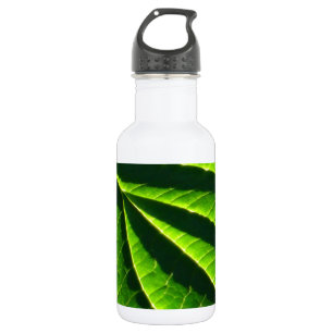Cool green leaf 532 ml water bottle