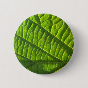 Cool green leafprint 2 inch round button