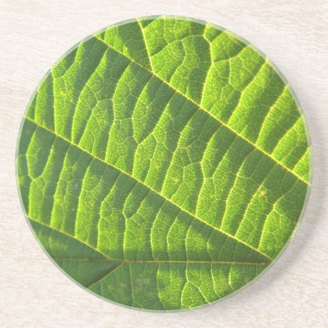 Cool green leafprint coaster (Front)