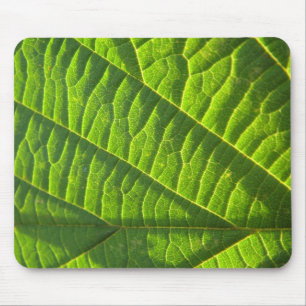 Cool green leafprint mouse pad