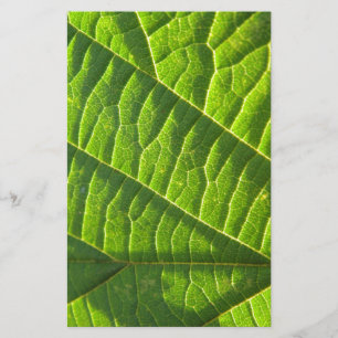 Cool green leafprint stationery