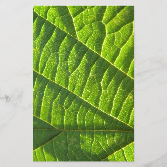 Cool green leafprint stationery (Front)