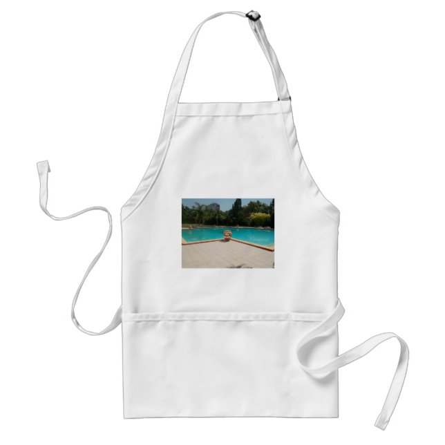 Cool Hakuna Matata Pool Side I love My Family.jpg Standard Apron (Front)