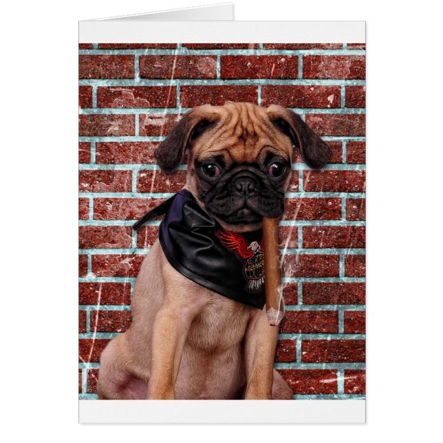 Cool Hand Pug (Front)