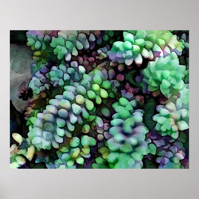 Cool Hued Burro's Tails in the Hot Desert Poster (Front)