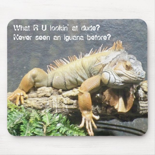Cool Iguana Mouse Pad (Front)