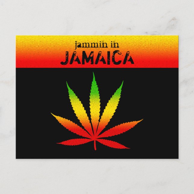Cool Jammin en Jamaïque Reggae Rasta Carte Postale (Devant)