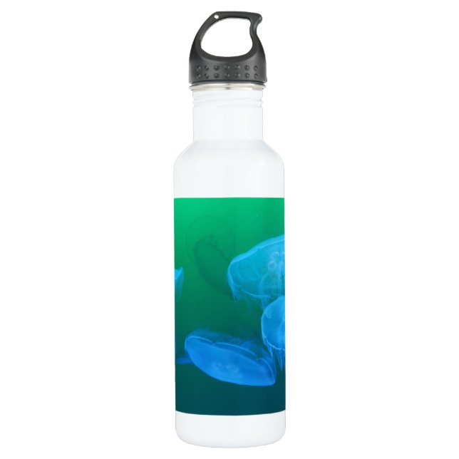 Cool Jellyfish Green Blue Gradient 710 Ml Water Bottle (Front)