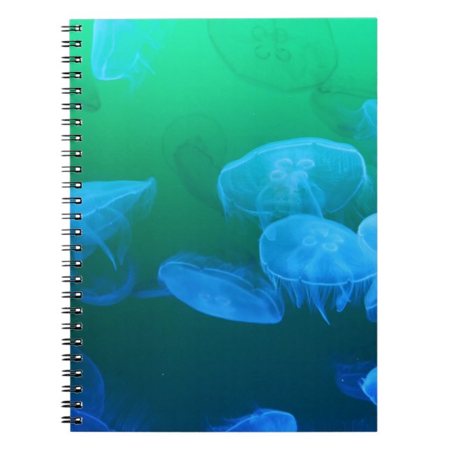 Cool Jellyfish Green Blue Gradient Notebook (Front)