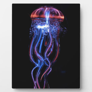 Cool Jellyfish Luminous Light Phenomeno Plaque
