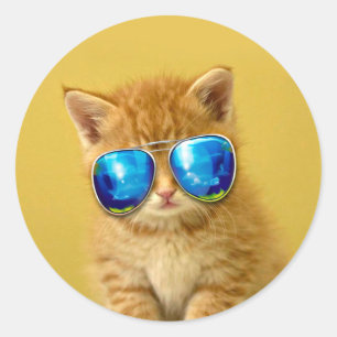 Cool Kitten in sunglasses Classic Round Sticker