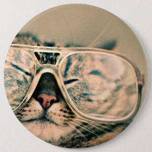 Cool Kitty in Oversized Glasses 6 Inch Round Button
