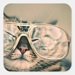 Cool Kitty in Oversized Glasses Square Sticker