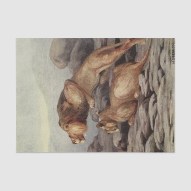 cool lion lovers decoupage crafting lovers tissue paper (Front)