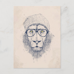Cool lion postcard