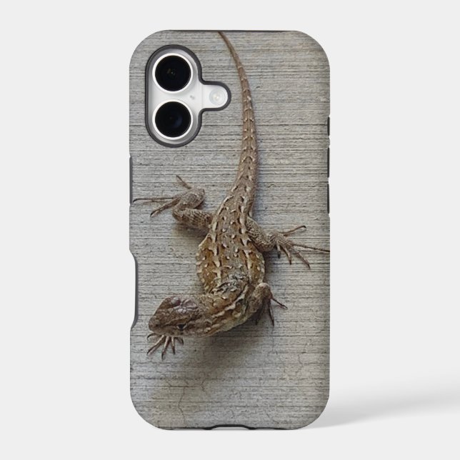 Cool Lizard (Back)