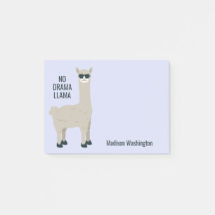 Cool Llama custom name & colour notes