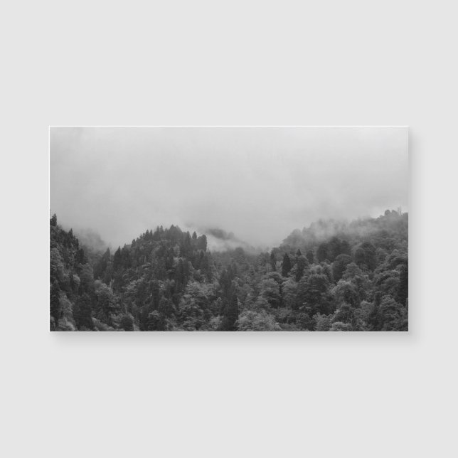 Cool, magical foggy nature (Front)