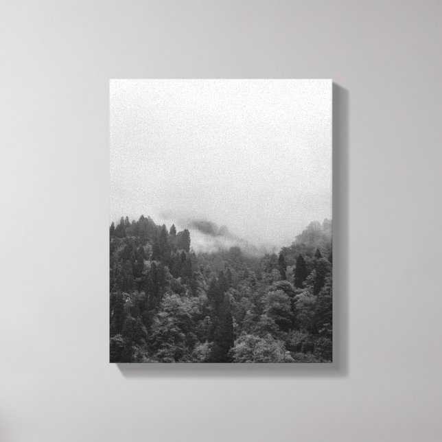 Cool, magical foggy nature canvas print (Front)