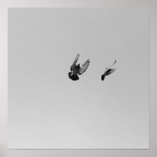 Cool Modern B&W flying bird simple modern design Poster