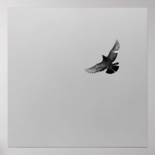 Cool Modern B&W flying bird simple modern design Poster
