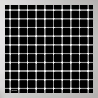 Cool Modern Black and White Optical Illusion Art Poster