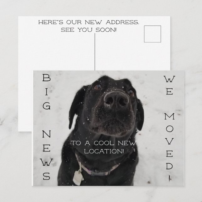 Cool New Location! Postcard (Front/Back)