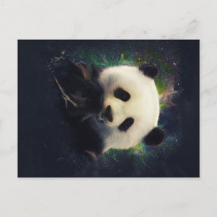 Cool Panda   Bamboo Bear   Clolorful Gift Announcement Postcard