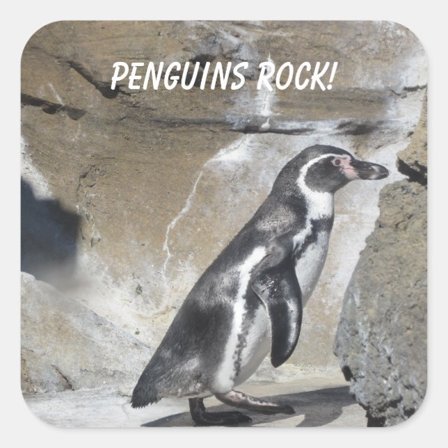 Cool  Penguin Square Sticker (Front)