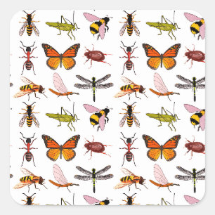 Cool PERSONNALISABLE INSECTE CARRÉ STICKERS