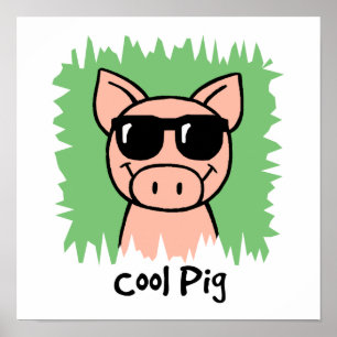 Cool Pig Poster