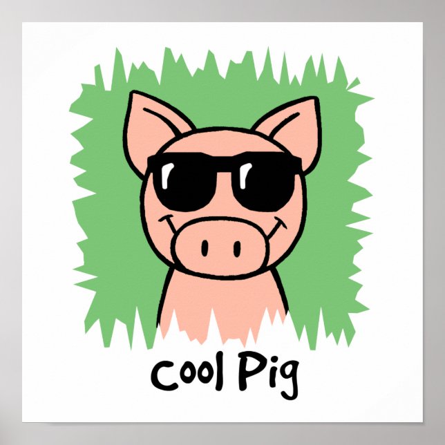 Cool Pig Poster (Front)