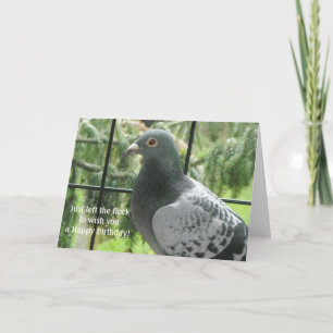 Cool Pigeon Birthday Card