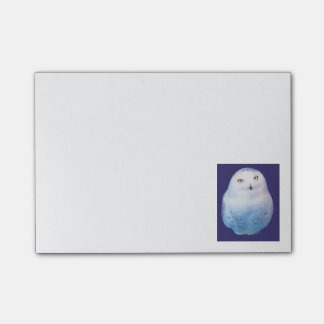 Cool Post-it Snowy Owl Post-it Notes