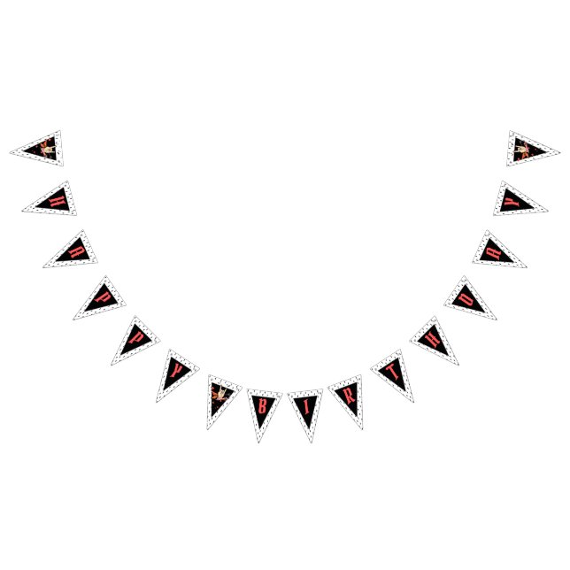 Cool Punk Rockstar Birthday Bunting Flags (All)