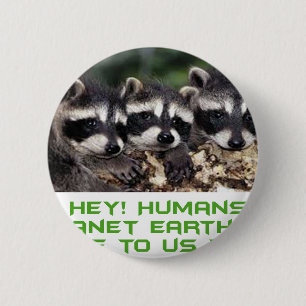 cool raccoon designs 2 inch round button