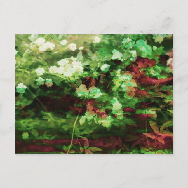 Cool red green flower art pattern. Nature concept Postcard (Front)