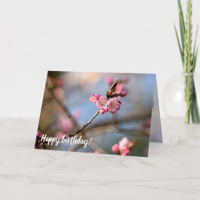 Cool Sakura Flowers Against The Grey Background Card (Front)