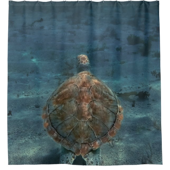 Cool Sea Creatures (Front)