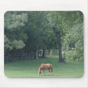 Cool Serenity - mousepad