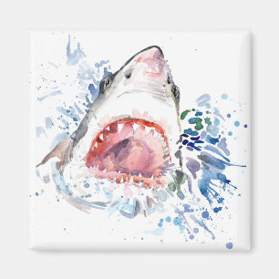 Cool Shark magnet