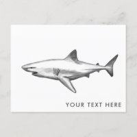 Cool Shark Postcard