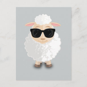 Cool Sheep Postcard
