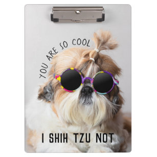 Cool Shih Tzu Not fun cute Sunglasses Photo Clipboard
