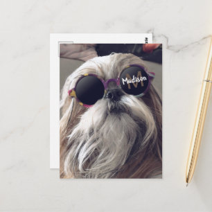 Cool Shih Tzu vintage retro glasses Photo Monogram Postcard