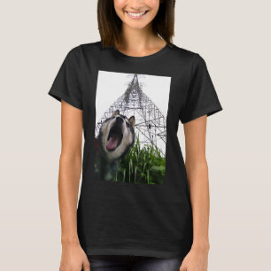Cool Siberian Husky For Men Women Boys & Girls T-Shirt