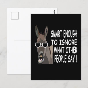 Cool Smart Donkey  Postcard