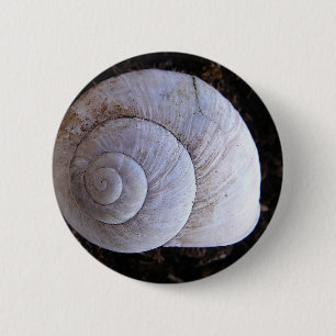 Cool snailshell 2 inch round button