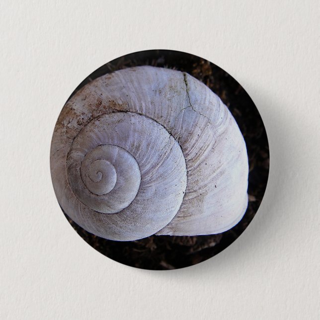 Cool snailshell 2 inch round button (Front)