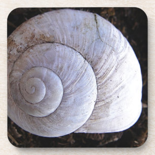 Cool snailshell coaster